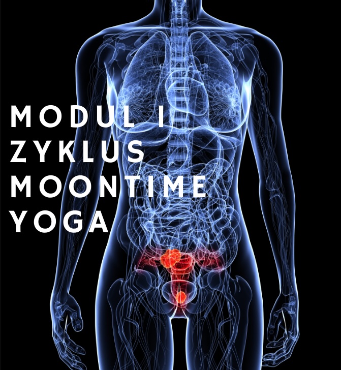 Modul 1: Zyklus