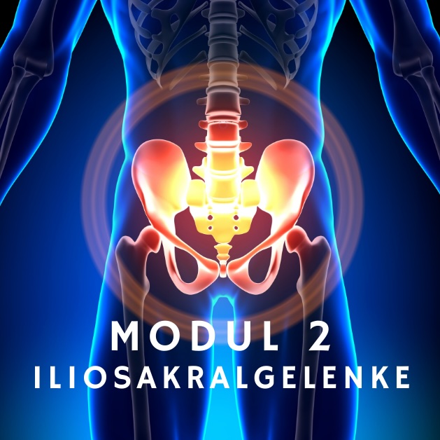 Modul 2: Iliosakralgelenke