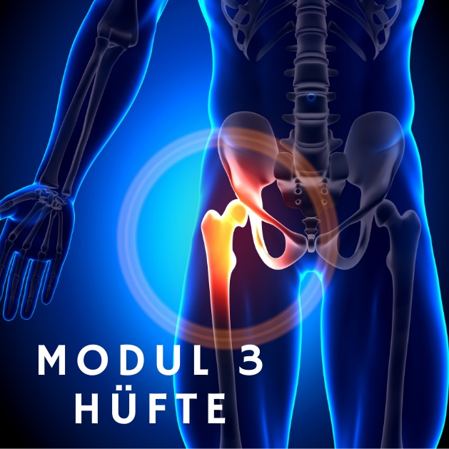 Modul 3: Hüfte