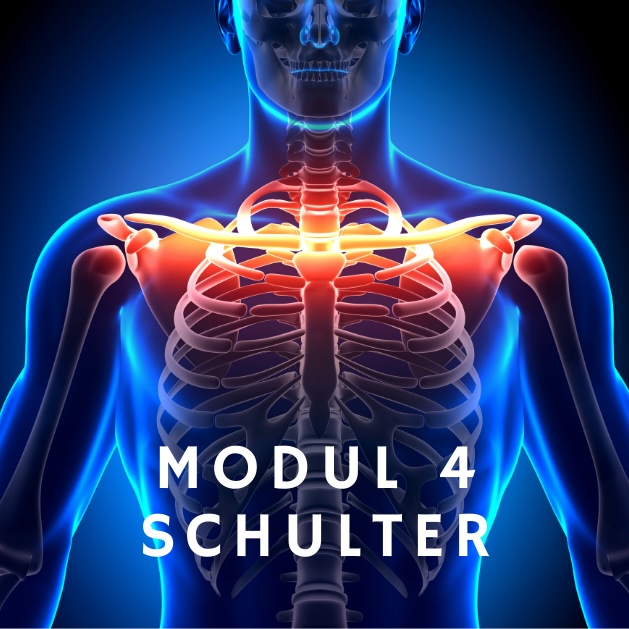 Modul 4: Schulter