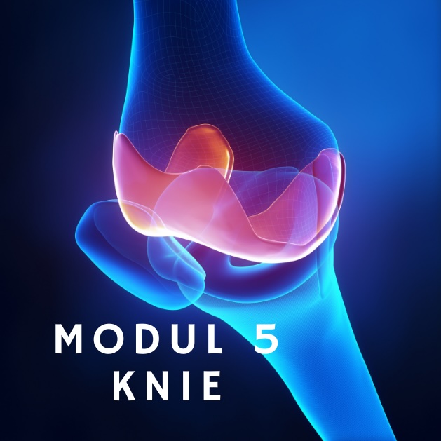 Modul 5: Knie