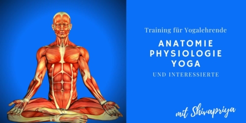 20210313_AnatomieTraining