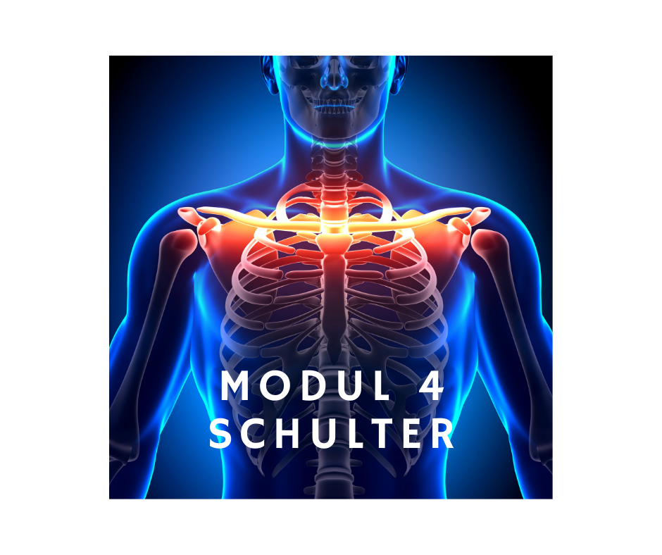 Modul 4 – Schulter