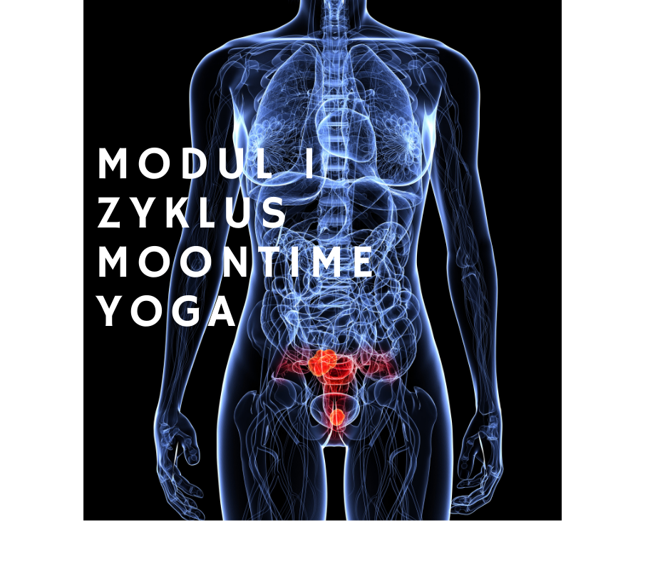 Moontime Yoga. Weiterbildung für Yogalehrende und Praktizierende (online)